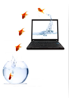 Virtual Fish